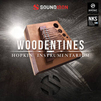 Soundiron Hopkin Instrumentarium: Woodentines Sound Library Plug-In
