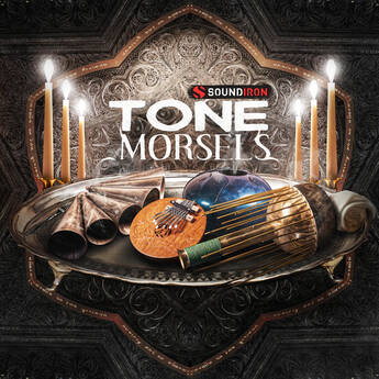 Soundiron Tone Morsels Strings and Tuned Percussion Sound Library for Kontakt