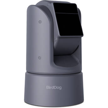 BirdDog O4 Outdoor PTZ Camera with 30x Optical Zoom (Gray)