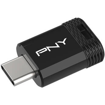 PNY 256GB Elite-X Fit USB-C 3.2 Gen 1 Flash Drive