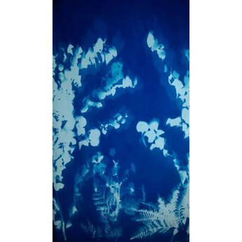 Cyanotype Store Cyanotype Cotton "By the Yard" (45" Wide, Turquoise)
