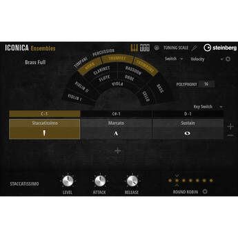 Steinberg Iconica Ensembles Orchestra Virtual Instrument Plug-In