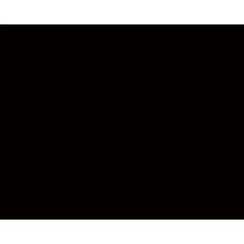 Kate Backdrop Black Rubber Floor Mat (5 x 4')