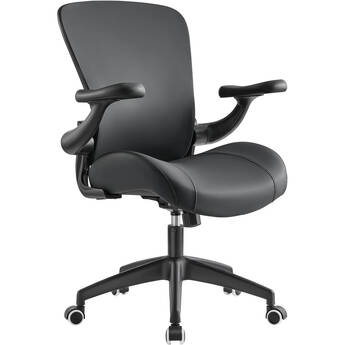 Eureka Vera Ergonomic Office Chair (Black)