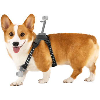 Insta360 Pet Harness Mount (Medium)