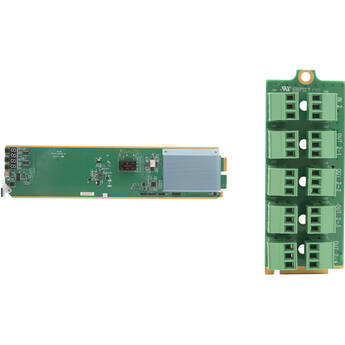 Apantac openGear Balanced Analog Audio Distribution Amplifier with Rear Module
