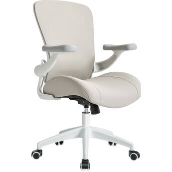 Eureka Vera Ergonomic Office Chair (Gray)