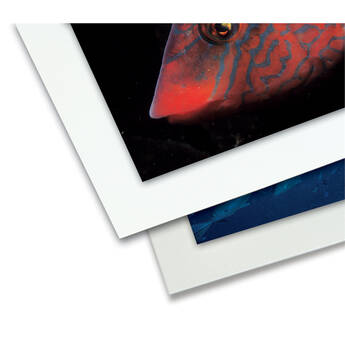 Print File Conservation 2-Ply Board (White, 8 x 10", 25-Pack)