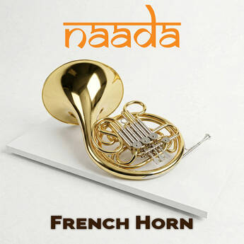 ILIO Naada French Horn Virtual Instrument Plug-In