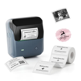 NIIMBOT B31 3" Portable Thermal Label Printer (Lake Blue)
