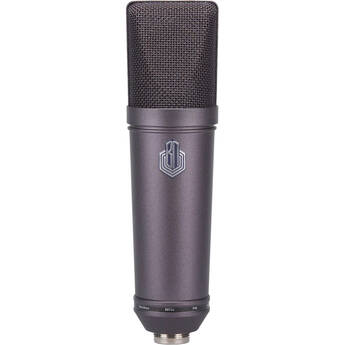 BeesNeez B87iC Large-Diaphragm Cardioid Condenser Microphone