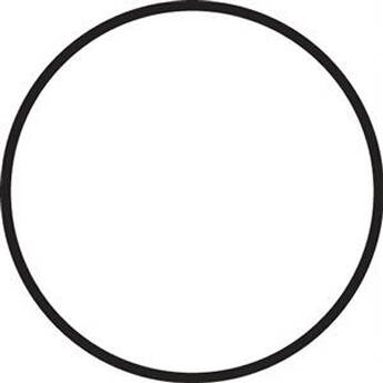 Fantasea Line Main Silicone O-Ring for FP7100 and FP7000 Underwater Housings (Black)