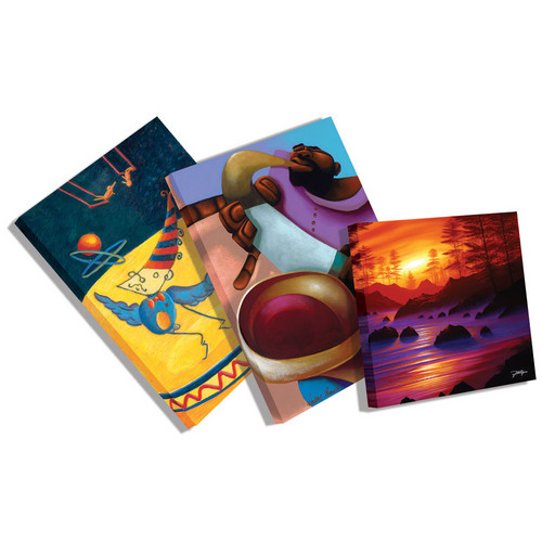 Auralex SonicPrint Artistic Acoustic Panels (2 x 4')