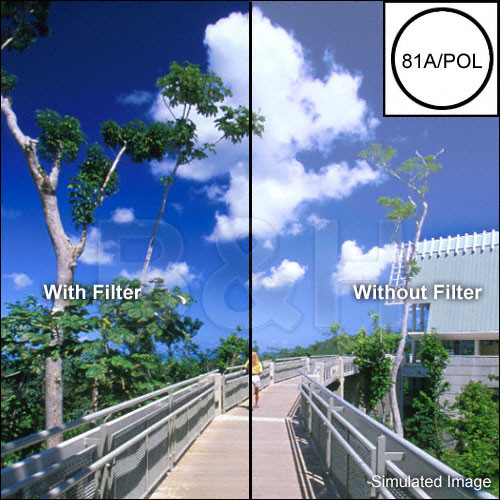 B+W 52mm Warm Circular Polarizer 81A Glass Filter