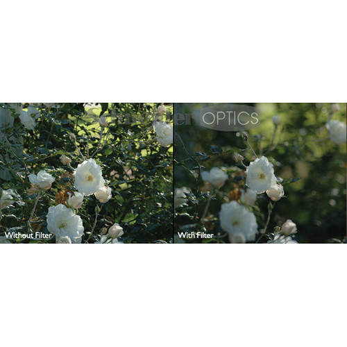 B+W 30.5mm Digital Pro 102 Neutral Density (ND) 0.6 Filter