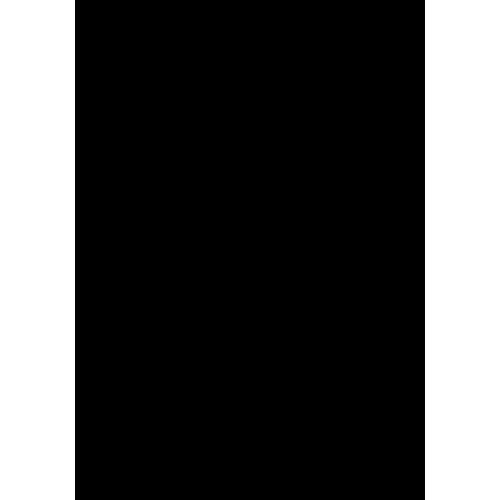 Backdrop Alley Solid Muslin Background - 8.0 x 10' (Black)