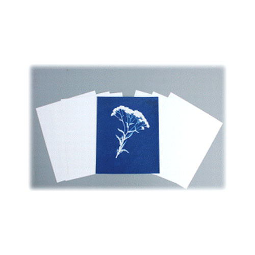 Cyanotype Store Cyanotype Paper (8 x 10", White, 12 Sheets)