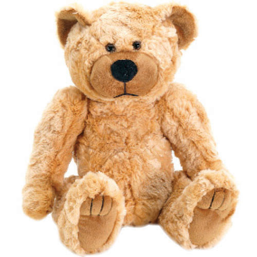 Bolide Technology Group BC1095  Color Teddy Bear Hidden Camera