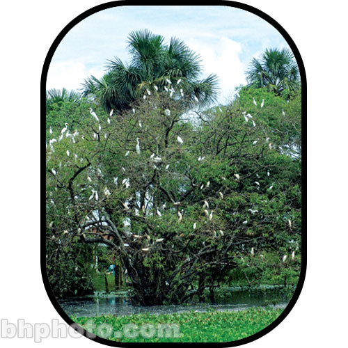 Botero #C717 5x7' Scenic Background
