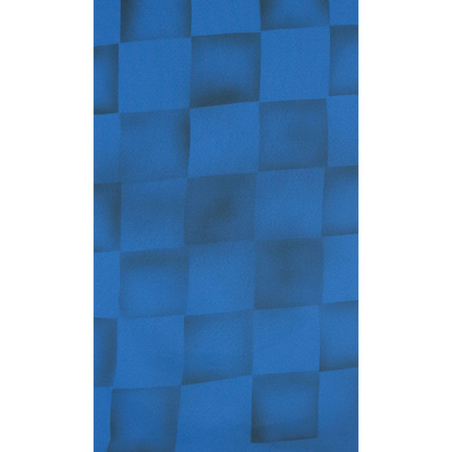 Botero #059 Muslin Background (10 x 24', Blue, Gray )
