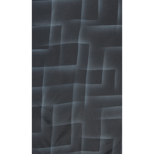 Botero #062 Muslin Background (10 x 24', Black, White )