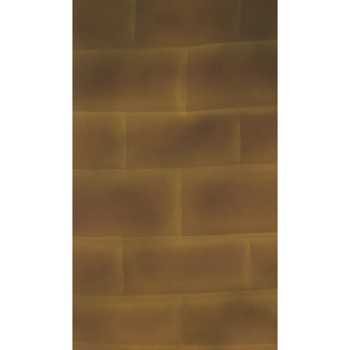 Botero #069 Muslin Background (10 x 24', Brick Brown, Yellow )