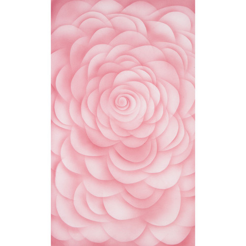 Botero #071 Muslin Background (10 x 24', Pink )
