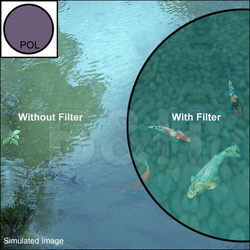 Canon 2583A002 77mm Circular Polarizing Filter