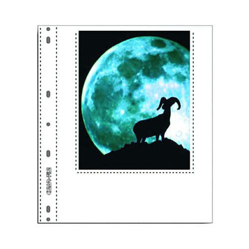 ClearFile Archival-Plus Print Page, Holds Two 6 x 8" APS Prints - 25 Pack