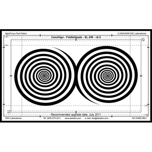 DSC Labs Fiddlehead Maxi Focus Pattern Chart