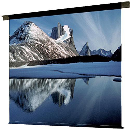 Draper 113020 Ambassador Motorized Projection Screen (9 x 9')