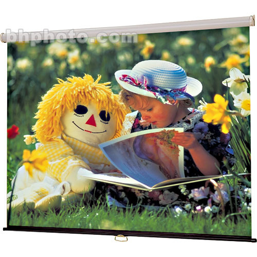Draper 209002 Star Manual Projection Screen (60 x 60")