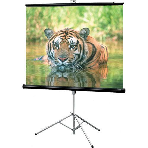 Draper 216009 Consul Portable Tripod Screen With Keystone Eliminator (60 x 60")