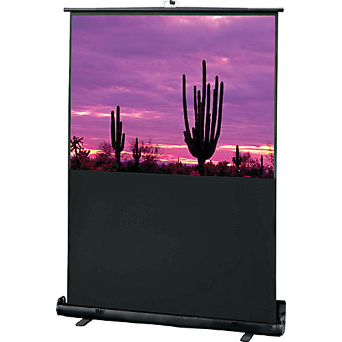 Draper 230002 Road Warrior Portable Projection Screen (36 x 48")