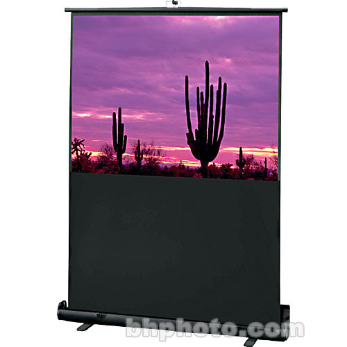 Draper 230053 RoadWarrior Portable Projection Screen (27 x 48")