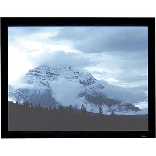 Draper 253224 Onyx Fixed Frame Projection Screen (75.75 x 140")