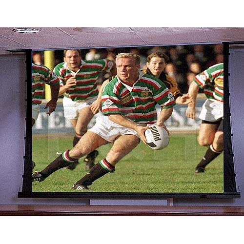 Draper Signature/Series E Motorized Projection Screen ()