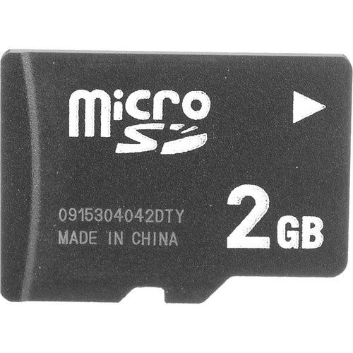 EasyStore 2GB microSD Card