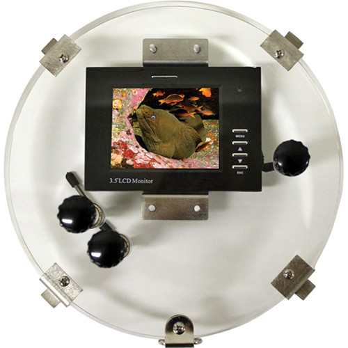 Equinox 3.5" LCD 8" Monitor Back w/ 1/8 Mini Plug