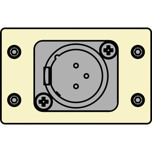 FSR IPS-A612D-IVO IPS Audio Insert (Ivory)
