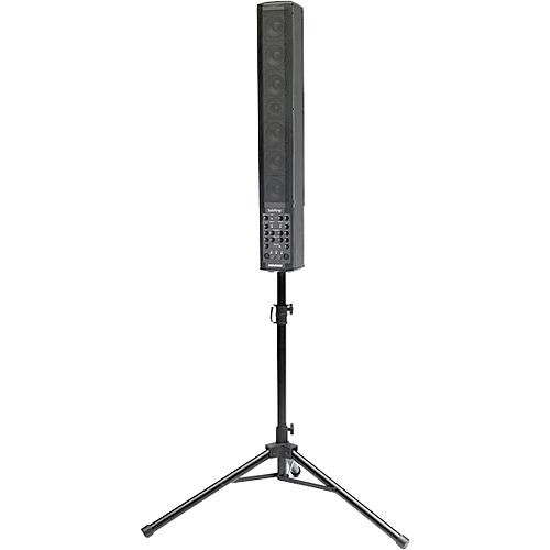 Fishman SoloAmp Portable Amplifier and PA with 220W