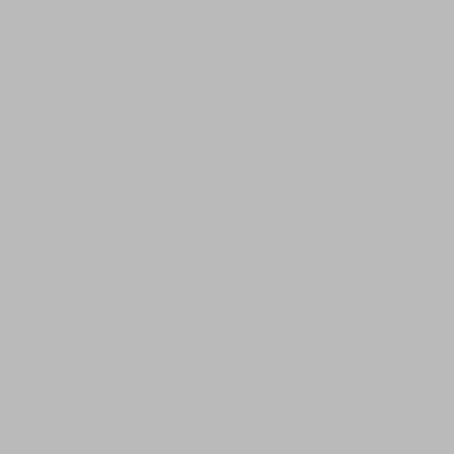 Foba TT Plast Plastic Background Sheet (51 x 40", Dove Gray, 1 Sheet)