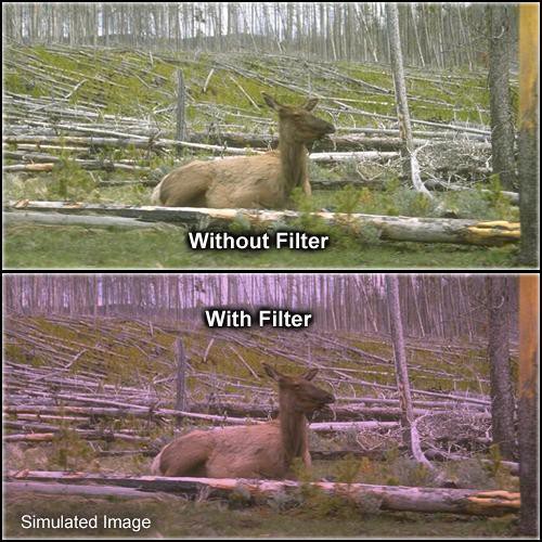 Formatt Hitech Solid Plum Filter (5 x 5")