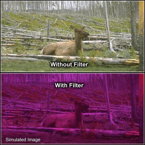 Formatt Hitech Solid Plum Filter (5 x 5")