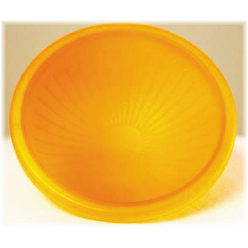 Gary Fong AmberDome