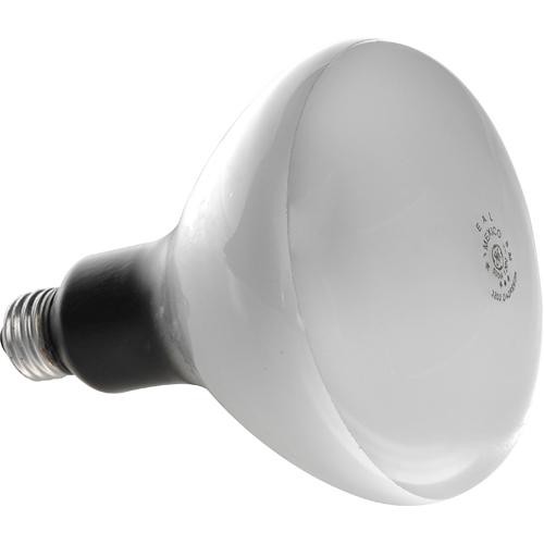 General Brand EAL Lamp - 500W/120V