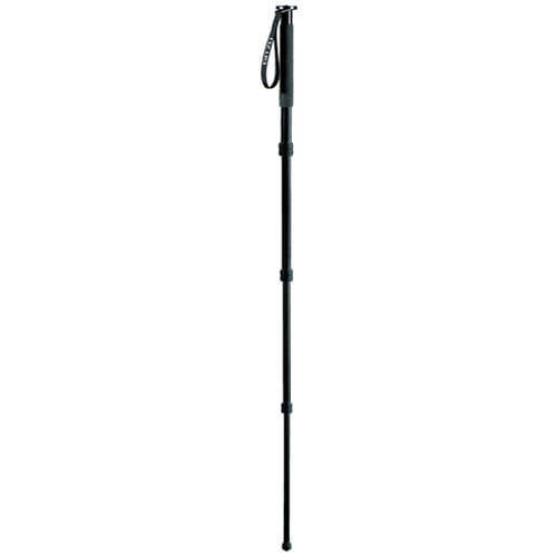 Gitzo GM-2942 Basalt Monopod - Supports 22 lbs (10kg)