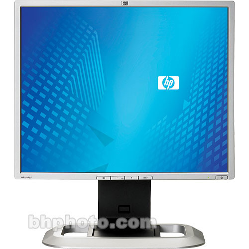 HP LP1965 19" LCD Computer Monitor with Dual DVI-I Inputs and USB 2.0 Hub