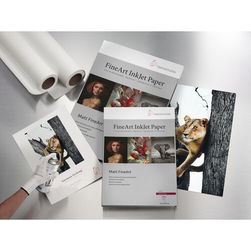 Hahnemuhle German Etching 310 Matte FineArt Paper (17" x 39' Roll)