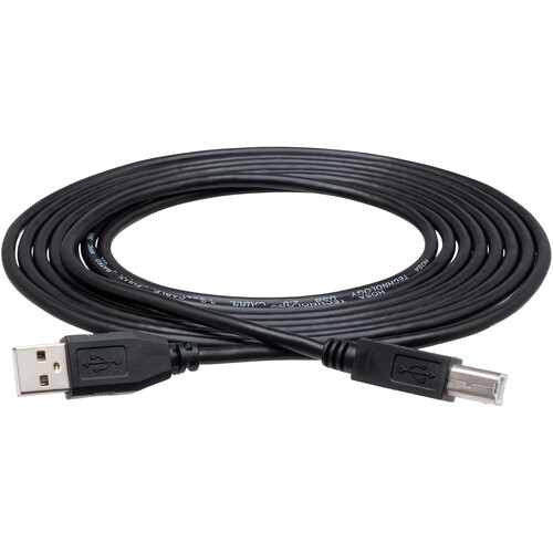 Hosa Technology USB 2.0 Cable A to B (10')